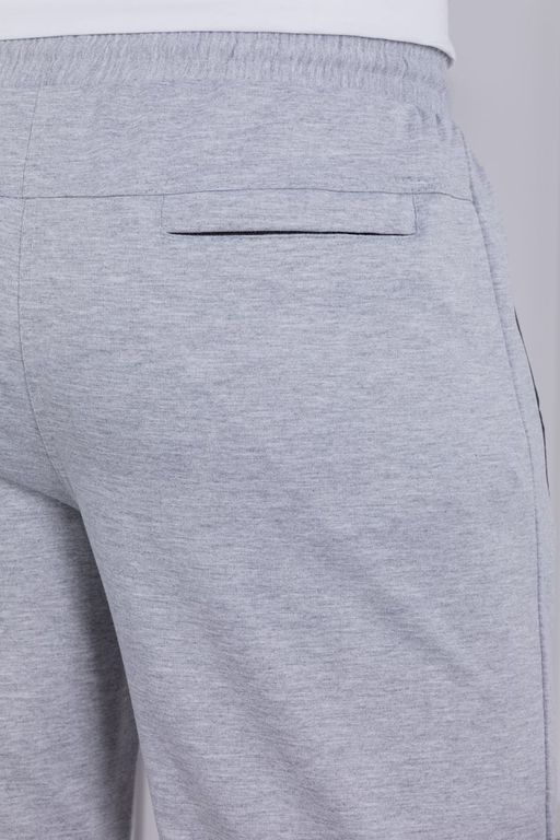 брюки спортивные 
 3.MMT003A-серый-светлый - Iron man фото 8