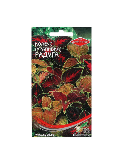 Цена за 2 шт. Семена комнатных цветов Колеус "Блюма Радуга", 130 шт.