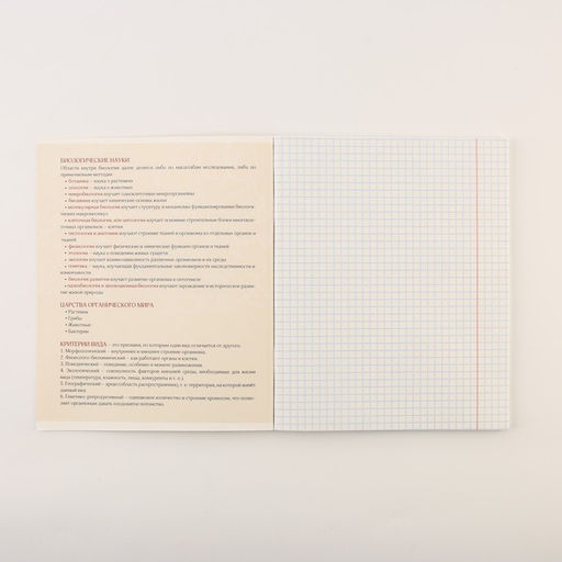 Тетради предметные, 48 л., А5, набор из 3 шт. КОТэ - Artfox study фото 4