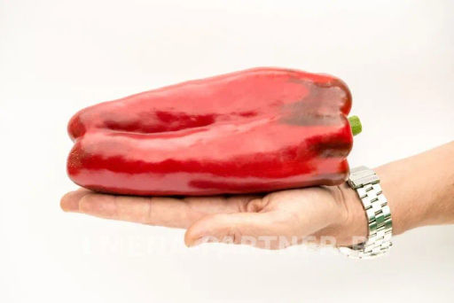 Перец сладкий Ливадия - Партнер фото 3