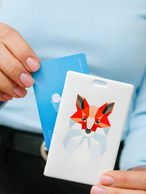 Держатель для карт Graphic fox (6,5 х 10,4 см)