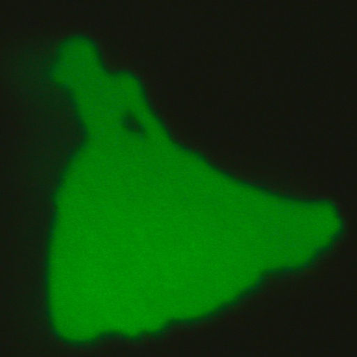 Набор для опытов 7 весёлых опытов, 7 в 1, светящиеся, Принцессы - Disney фото 5