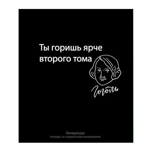 Тетрадь предметная На Чёрном 48 листов в линейку Литература, со справочным материалом, обложка мелованый картон, УФ-лак, блок офсет