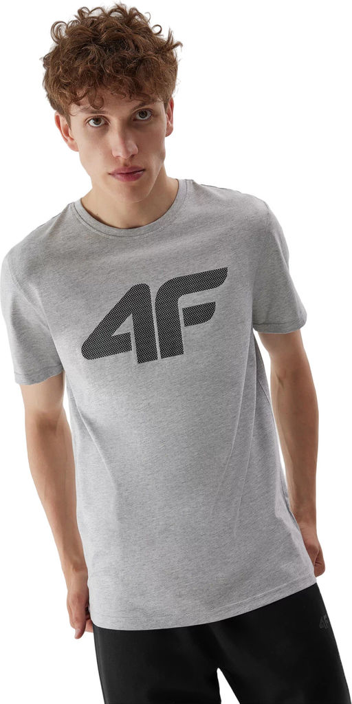 Футболка мужская