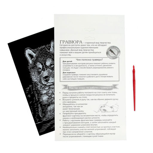 Гравюра Щенок хаски с металлическим эффектом серебро А4 - Школа талантов фото 5