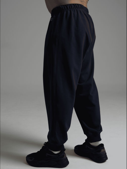 Леон брюки мужские (темно-синий)