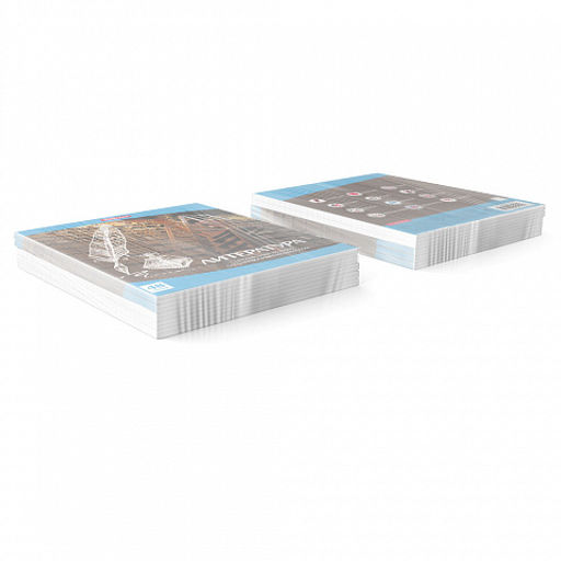 Цена за 5 шт. Тетрадь общая ученическая ErichKrause Перспектива, Литература, 48 листов, линейка  фото 3