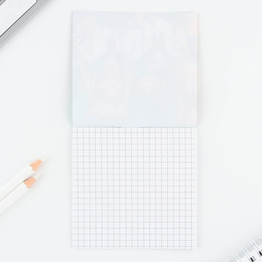 Цена за 20 шт. Блокнот 10×10, 16 л. «Аниме. Девочки» МИКС