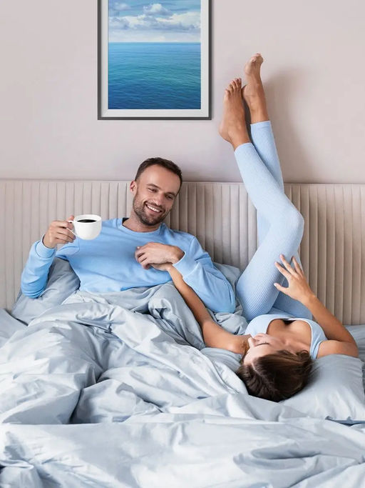 Постельное белье Моноспейс Евро + 4 наволочки, голубой