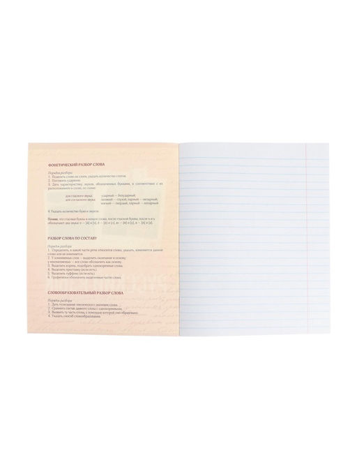 Цена за 10 шт. Предметная тетрадь по русскому языку Calligrata «Фото», 48 листов, в клетку, со справочным материалом, обложка из мелованного картона