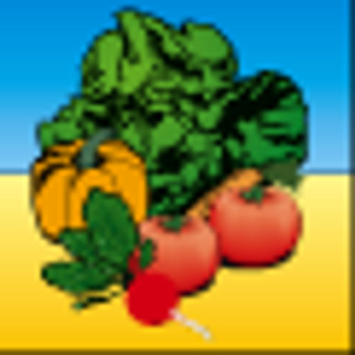 Огурец Китайские палочки F1 --- ® Парт - Аэлита фото 5