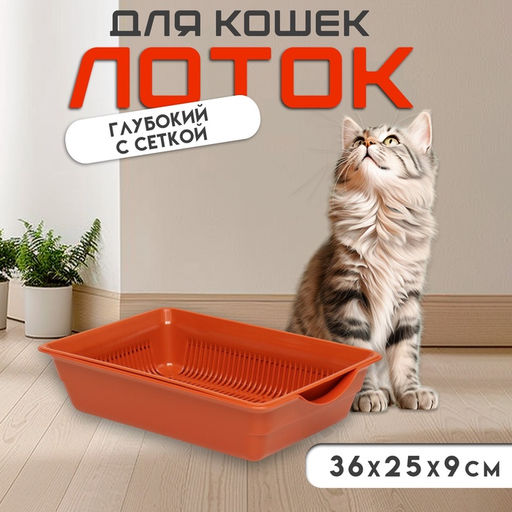 Туалет глубокий с сеткой 36×25×9 см, коричневый