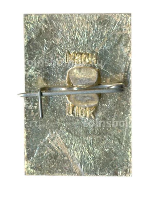 Значок Владимир