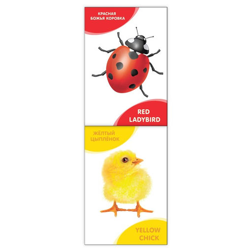 Книги развивающие набор Растём вместе. Английский язык, 20 стр. - Буква-ленд фото 2