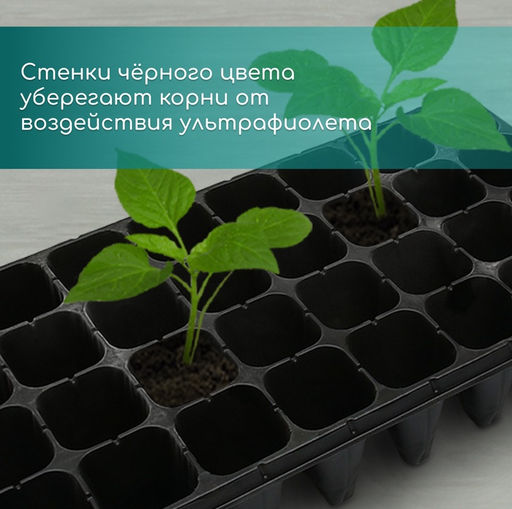 Цена за 2 шт. Кассета для рассады, 32 ячейки по 150 мл, пластик, чёрная, 51×28×10 см, Greengo