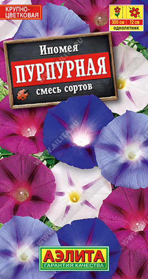 1457A Ипомея Пурпурная, смесь сортов 0,5гр