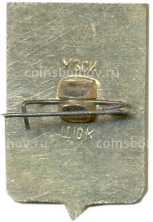 Значок Чебоксары