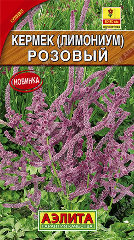 Кермек (лимониум) Розовый (2026)