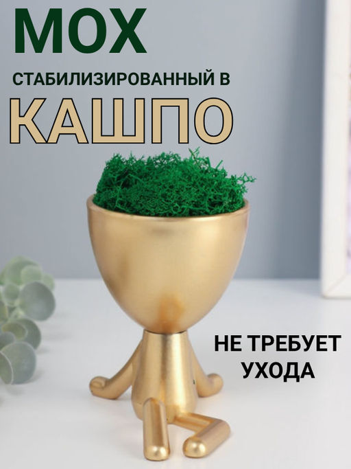 Стабилизированный мох в кашпо пластиковом «Мистер Грин на чиле», 10×10.5×7.3 см, золото
