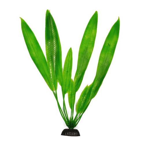 Растение Plant 009-Эхинодорус амазонский 30 см PLANT 009/30