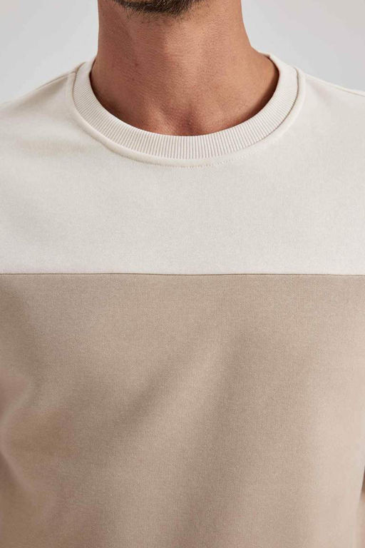 Толстовка с цветными блоками Comfort Fit с круглым вырезом - Defacto фото 7