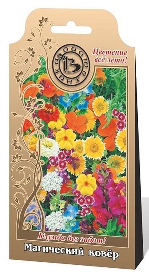Магический Ковёр