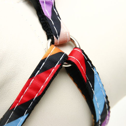 Комплект амуниции двухслойный, размер S, поводок 120 х 1 см, ОШ 24-38 см, ОГ 29-41 см, разноцветный - Пижон фото 7