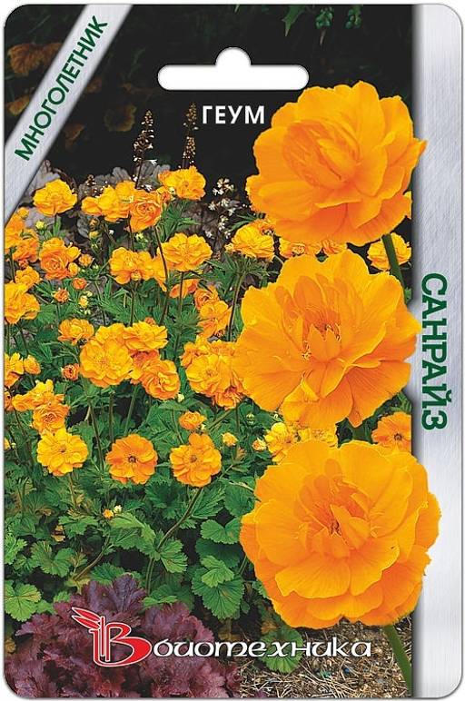 Геум махровый Санрайз