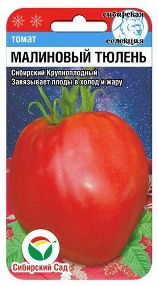 Малиновый тюлень томат 20шт (сс)