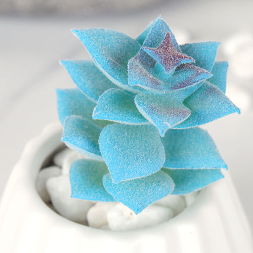 Суккулент искусственный 5,5х9 см / GN142 /уп 100/ - Галеонтрейд фото 4