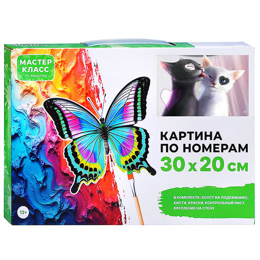 Картина по номерам "Инь и Янь" 30х20 см.