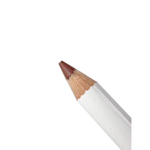 Карандаш для губ Professional, 418 Ashy Petals