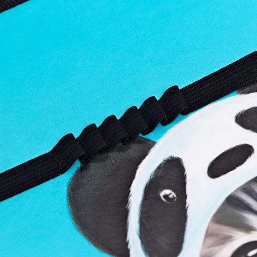 Папка для труда, А4, пластиковая, 23×32.5×2.5 см «Котик панда»