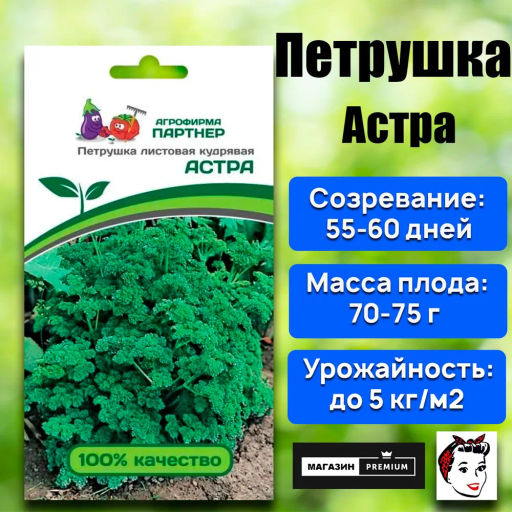 Петрушка кудрявая Астра