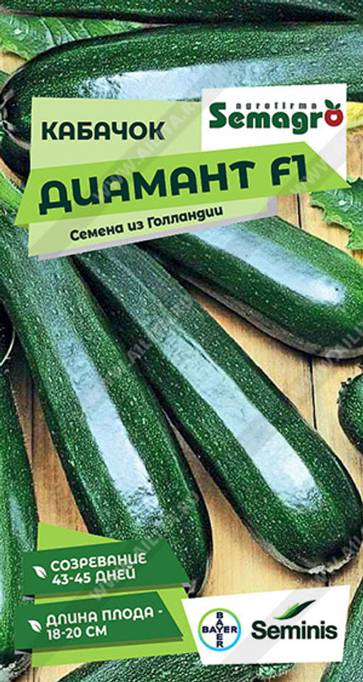 Кабачок Диамант F1 (2029)