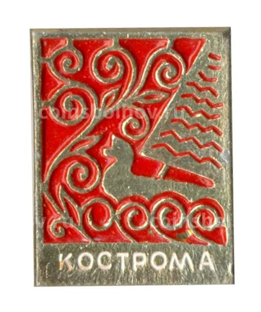 Значок Кострома