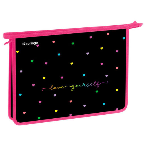 Папка для тетрадей А4, молния сверху Berlingo "Love yourself" (BR-PP-A40510) пластик