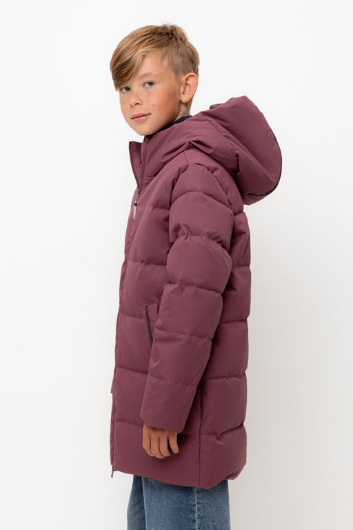 CROCKID. Пальто. Цвет: сливовый