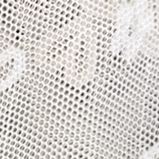 Трусики A27827260 - Tadmico фото 10