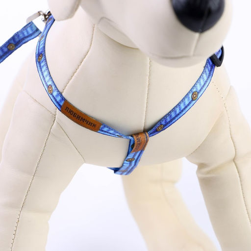 Комплект Любимчик, шлейка 24-36 см, поводок 120х1 см - Пушистое счастье фото 5