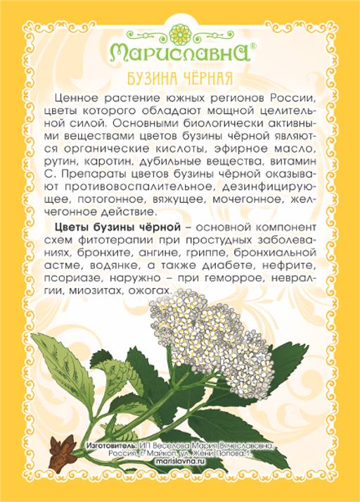 Бузина чёрная (цветы) - Мариславна фото 3