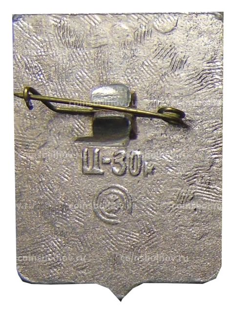 Значок Новосибирск