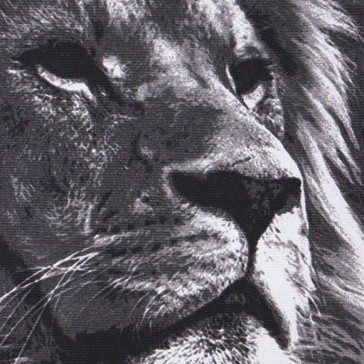 Набор кух. Полотенец Доляна Самый лучший мужчина 35х60 см - 4шт, 100% хл, 160г/м2  фото 3