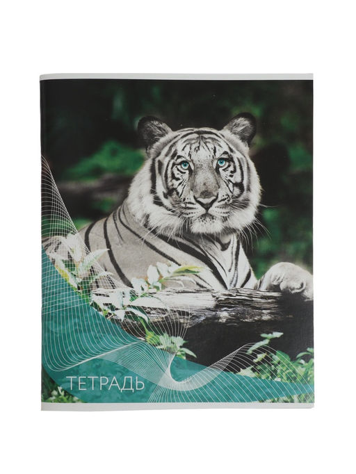 Набор тетрадей, 96 листов в линейку, Calligrata «Дикие кошки», серые листы, 4 штуки