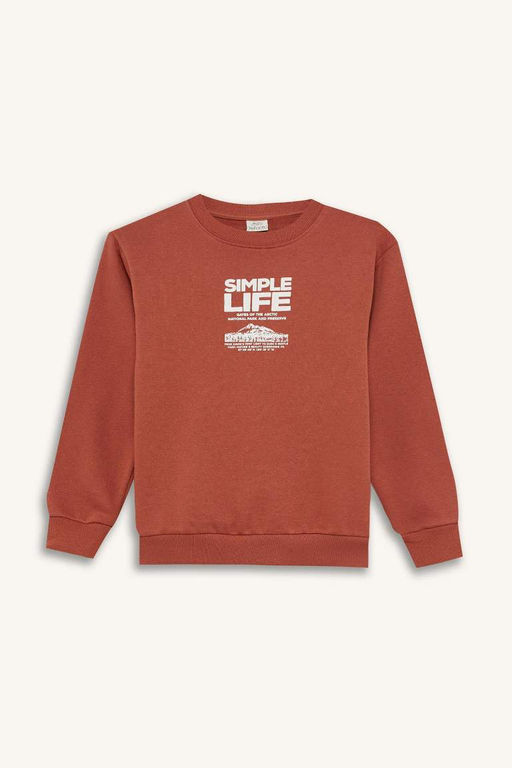 Толстовка обычного кроя с круглым вырезом и принтом на мягкой подкладке для мальчиков - Defacto фото 7