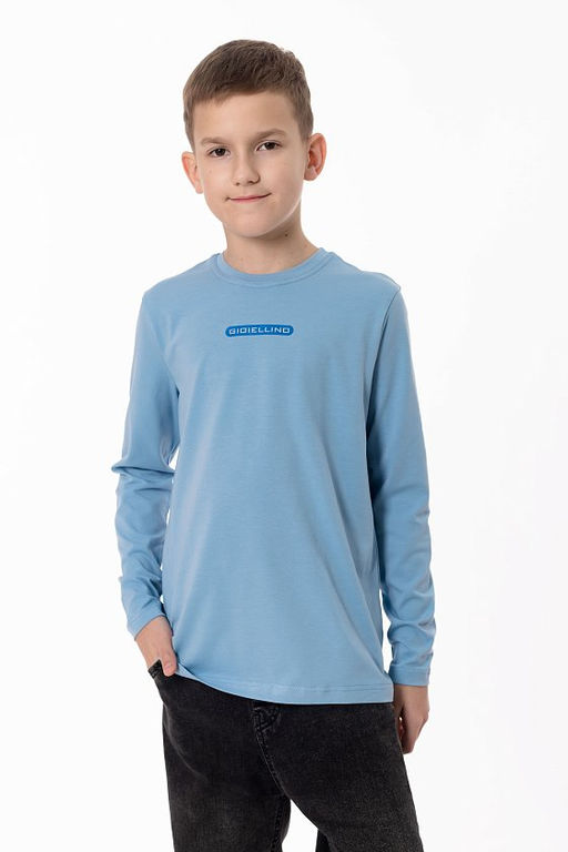 Футболка с длинным рукавом М225013Пг серо-голубой
