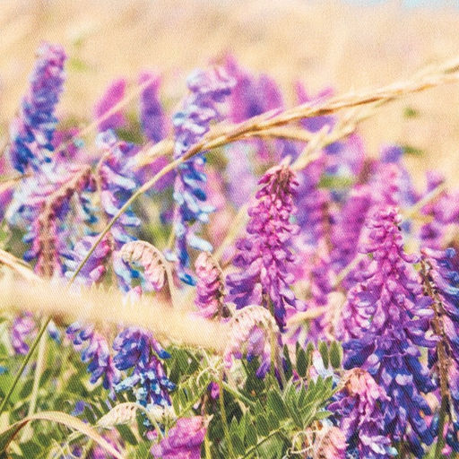 Набор подарочный Любимая бабушка полотенце 40х73см, лопатка - Этель фото 4