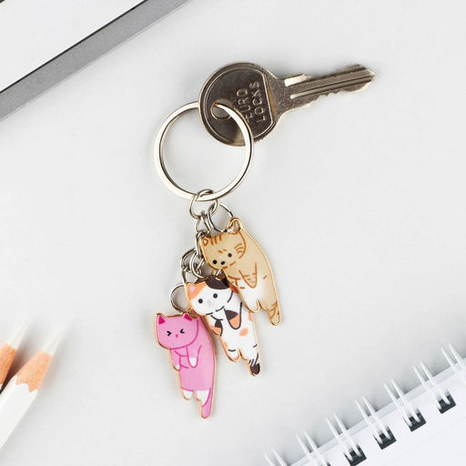 Брелок для ключей Cute, 2.5×9 см