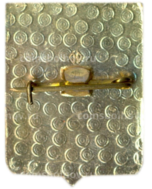 Значок Вязники