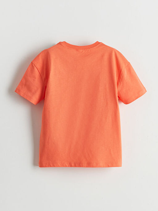 Dinozor Bask?l? Penye Erkek ?ocuk Ti??rt